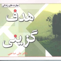 هدف گزینی